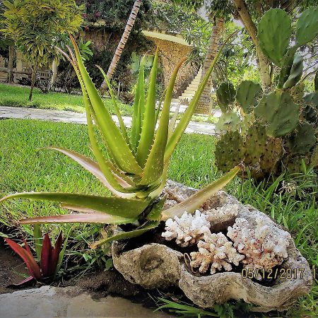 Fortamu Lady D House Watamu Apartamento Exterior foto