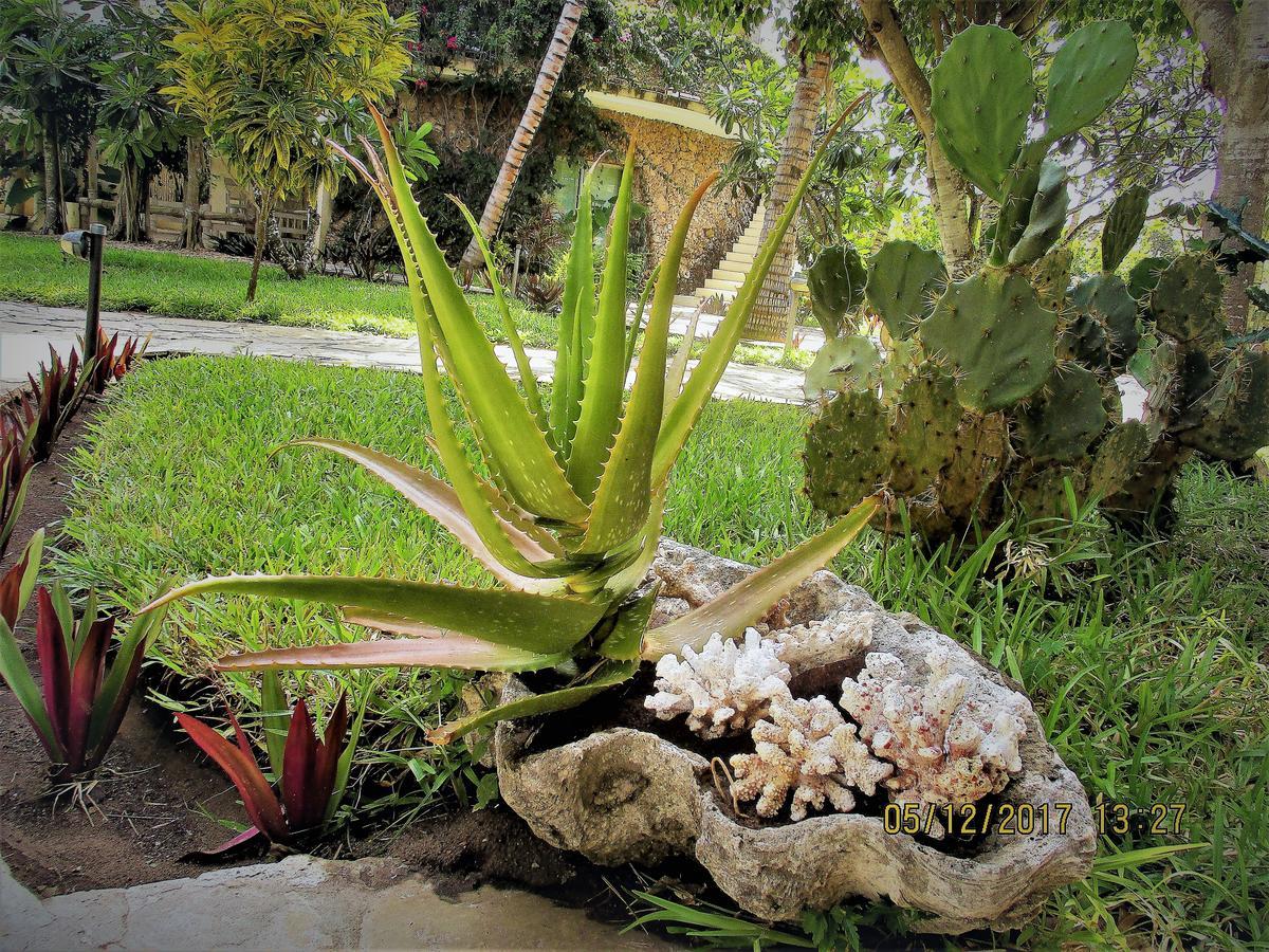 Fortamu Lady D House Watamu Apartamento Exterior foto